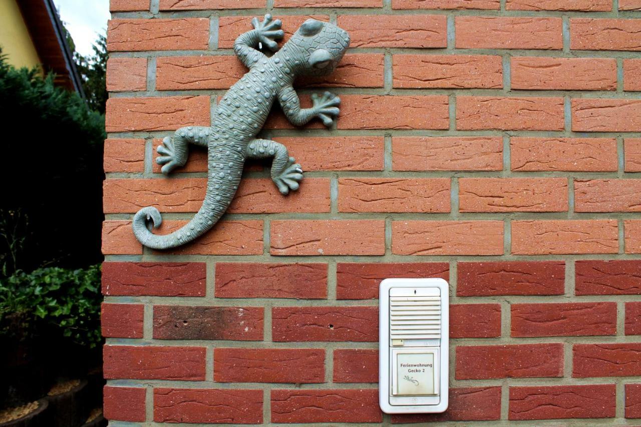 Ferienwohnung " Gecko 2 " أندرناخ المظهر الخارجي الصورة