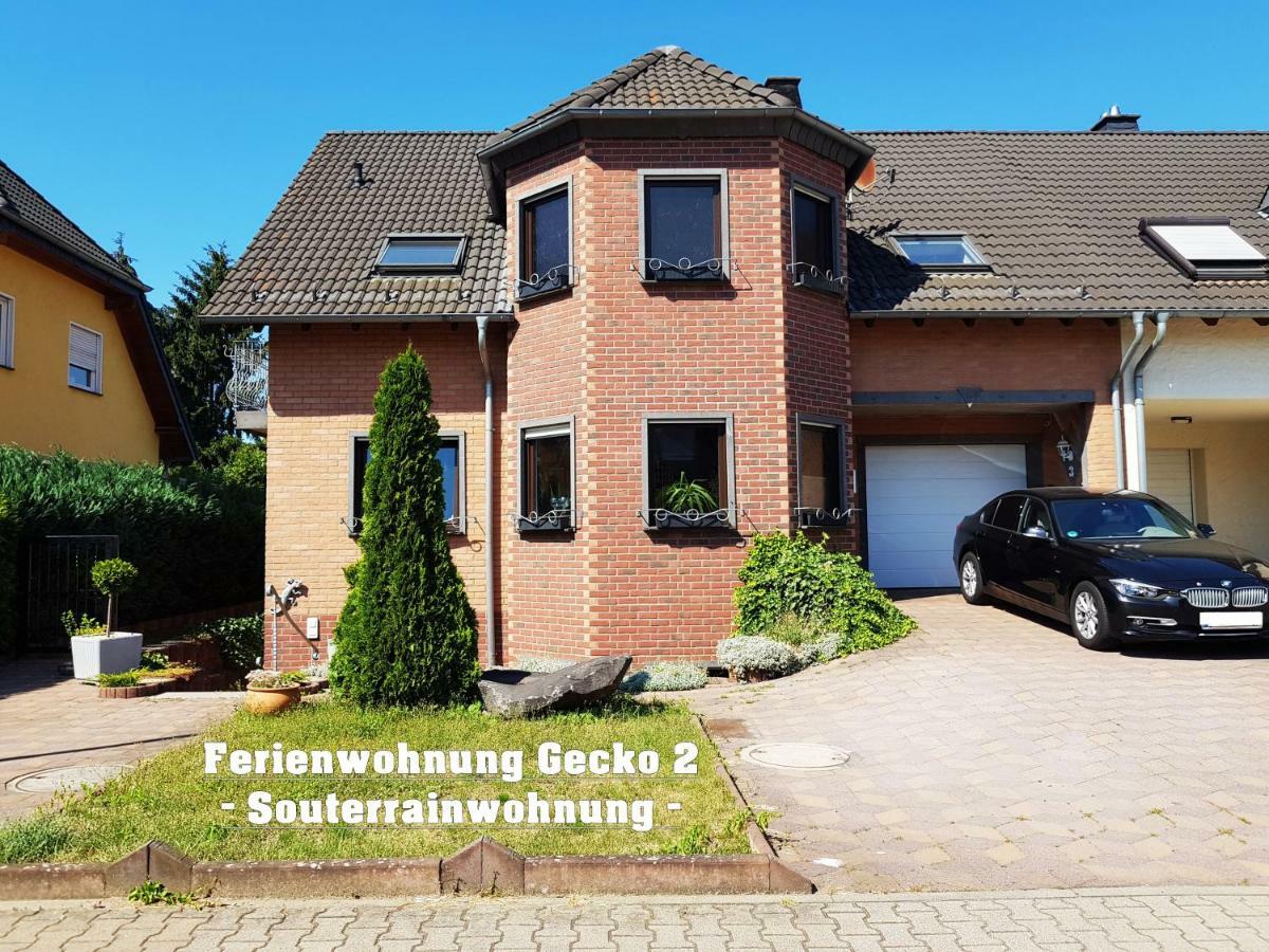 Ferienwohnung " Gecko 2 " أندرناخ المظهر الخارجي الصورة